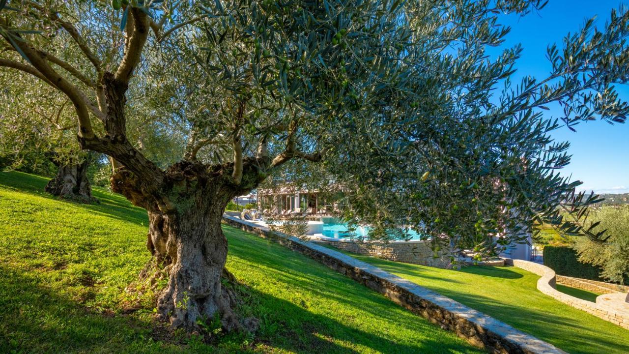 Mulino Luxury Boutique Hotel Buje Exterior photo